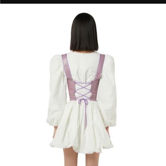 Pann lavender leather corset - Picture 4 of 4